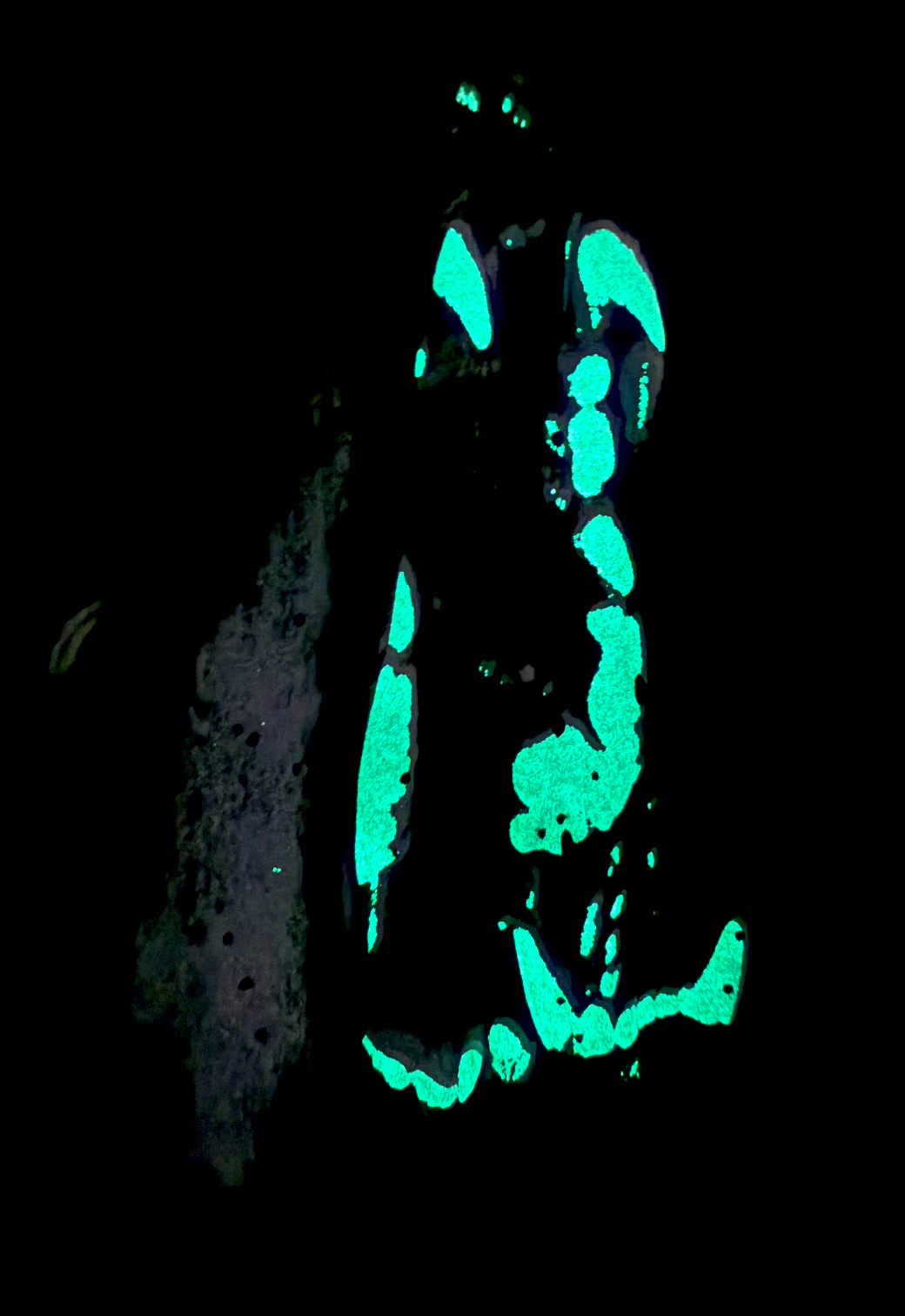 Camiseta Dark Runner